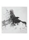 Bird MDF Wall Art White/Black 30x30cm
