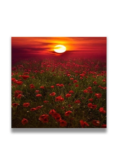 Decorative MDF Wall Art Painting Multicolour