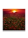 Decorative MDF Wall Art Painting Multicolour