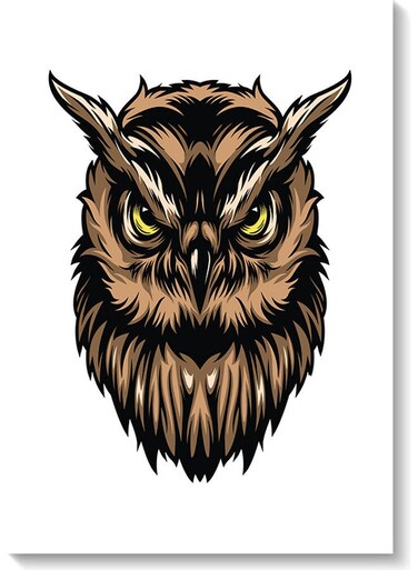 Owl Printed Wall Art Beige/Brown/Black 40x60cm