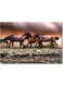 Horses Wall Art Multicolour 40x60cm