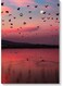 Sunset Wall Art Multicolour 40x60cm