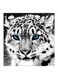 White Tiger Printed MDF Wall Art Painting Grey/White/Black 30x30cm