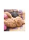 Cute Cat Mdf Wall Art Multicolour 30x30centimeter