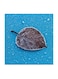 Leaf MDF Wall Art Multicolour 30x30cm