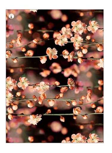 Printed Decorative Wall Art Plate Multicolour 20cm