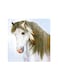 Horse Mdf Wall Art Multicolour 30x30centimeter