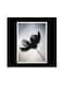 Nature Themed Wall Art Black/White/Grey 30x30centimeter