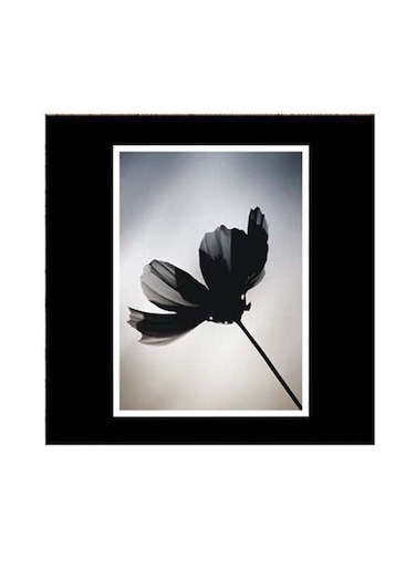 Nature Themed Wall Art Black/White/Grey 30x30centimeter