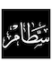 Sattam Printed Wall Art Black/White 30x30cm