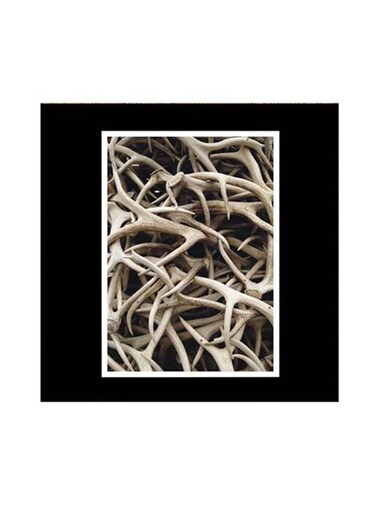 Nature Themed Wall Art Black/Beige 30x30centimeter