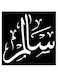 Salem Printed Wall Art Black/White 30x30cm