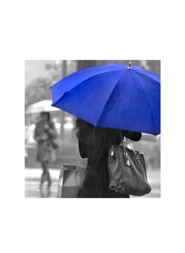 Rainy Blue Umbrella Mdf Wall Art Multicolour 30x30centimeter
