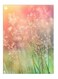 Printed Decorative Wall Art Plate Multicolour 20cm