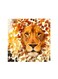Lion Mdf Wall Art Multicolour 30x30cm