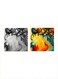 2-Pieces Abstract Calligraphy Mdf Wall Art Multicolour 30x30cm