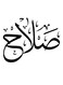 Salah Wooden MDF Wall Art Multicolour