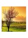 Nature MDF Wall Art Multicolour 30x30centimeter