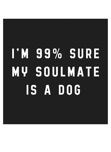 My Soulmate Is A Dog Quoted Wall Art Black/White 30x30cm