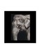 Animal Themed Wall Art Grey/Black 30x30cm