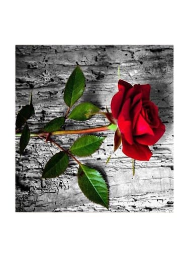 Red Flower MDF Wall Art Multicolour 30x30centimeter