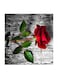 Red Flower MDF Wall Art Multicolour 30x30centimeter