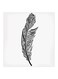 Feather MDF Wall Art White/Black 30x30cm