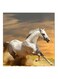 White Horse MDF Wall Art Multicolour