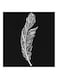 Feather MDF Wall Art Black/White 30x0.5x30cm