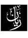 Rayan Wooden MDF Wall Art Multicolour