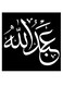 Abdullah Printed Wall Art Black/White 30x30cm