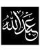 Abdullah Printed Wall Art Black/White 30x30cm