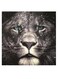 Lion Themed Wall Art Grey/Black/Blue 30x30cm