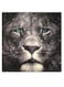 Lion Themed Wall Art Grey/Black/Blue 30x30cm