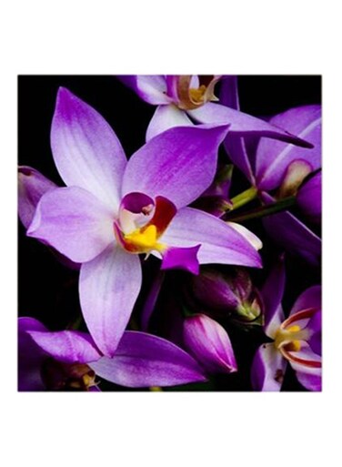 Purple Flowers MDF Wall Art Multicolour