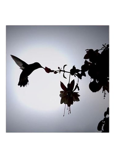 Black Bird MDF Wall Art White/Black