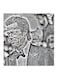 Brad Pitt MDF Wall Art Painting White/Black 30 x 5 x 30cm