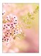 Printed Decorative Wall Art Plate Multicolour 20cm