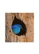 Mountain Bluebird Mdf Wall Art Multicolour 30x30centimeter