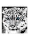 White Tiger Printed MDF Wall Art Painting Grey/White/Black 30x30centimeter