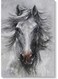 Arabian Horse Wall Art multicolour 40x60cm