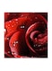 Red Flower MDF Wall Art Multicolour 30x30centimeter