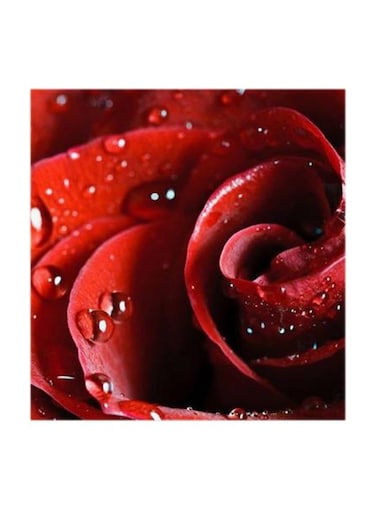 Red Flower MDF Wall Art Multicolour 30x30centimeter