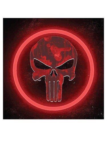 Punisher Logo Themed Wall Art Red/Grey/Black 30x30cm