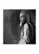 Ragnar Lodbrok Vikings MDF Wall Art Multicolour 30x30centimeter