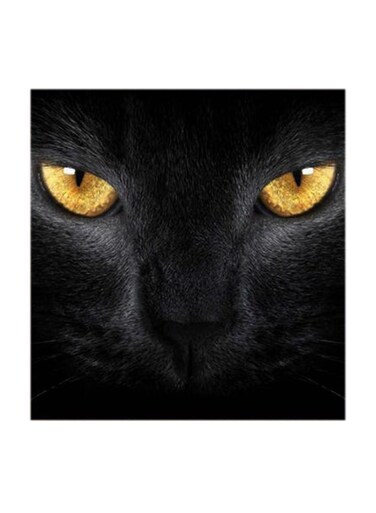 Black Cat MDF Wall Art Multicolour 30x30cm