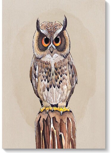 Owl Printed Wall Art Beige/Brown 40x60cm