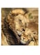 Lions Themed Wall Art Beige/Brown/Green 30x30cm