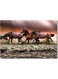 Horses Wall Art Multicolour 40x60cm