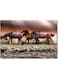 Horses Wall Art Multicolour 40x60cm